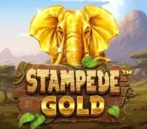 Stampede Gold